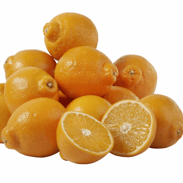 PLUS Mineola's - PLUS