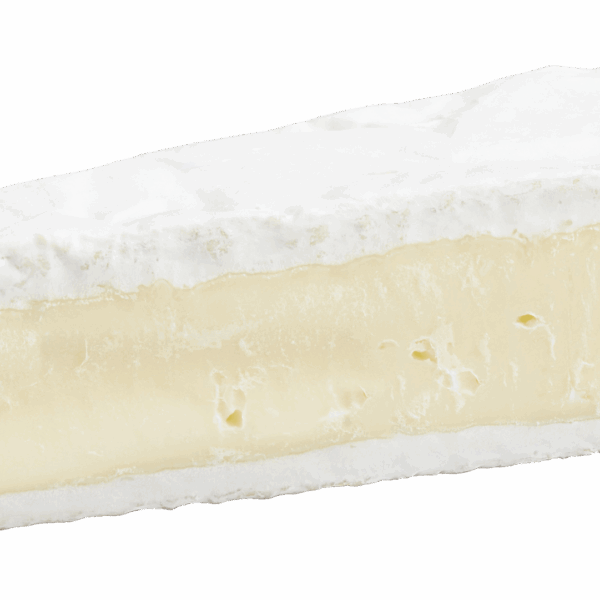 PLUS Roombrie 60+ - PLUS