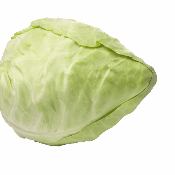 PLUS Spitskool - PLUS