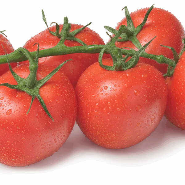 PLUS Trostomaten - PLUS