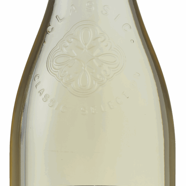 Park Villa Sauvignon Blanc - PLUS