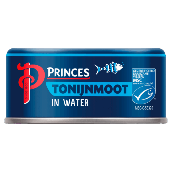 Princes Tonijnmoot in water - PLUS