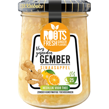 Roots Thee Gember Sinaasappel - JUMBO
