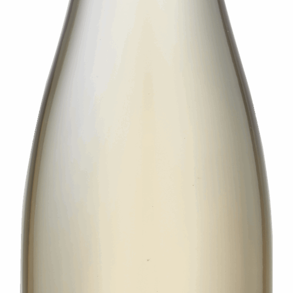 Sonnengrad Zweigelt Rosé - PLUS