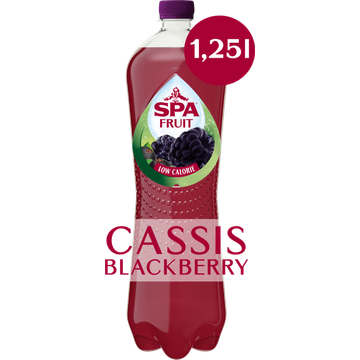 Spa FRUIT Bruisende Fruitige Frisdrank Cassis Blackberry - JUMBO