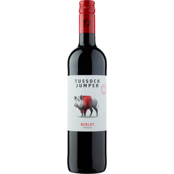 Tussock Jumper - Merlot - JUMBO