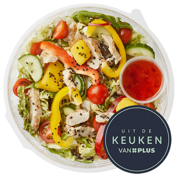 Uit de keuken van PLUS Salade mihoen met kip - PLUS