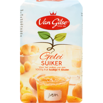 Van Gilse Geleisuiker 1 kg - JUMBO