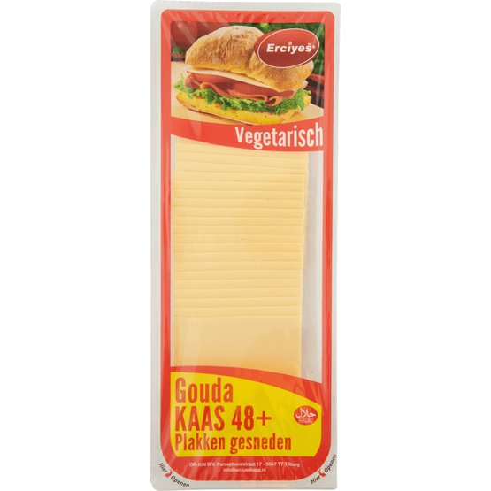 Vegetarische kaas 48+ - Dirk