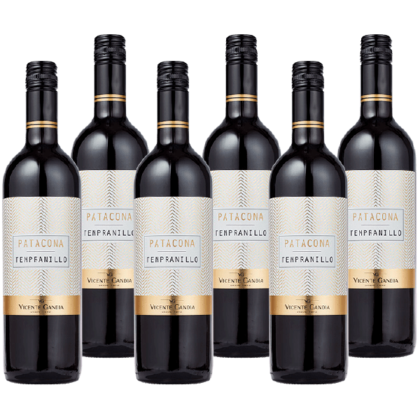 Vicente Gandia Patacona Tempranillo - PLUS